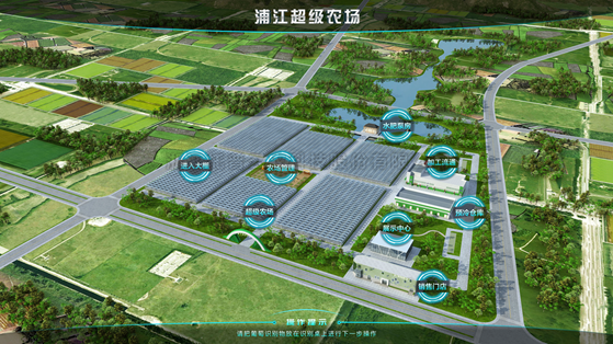 浦江超级农场：科技赋能让种植更高效